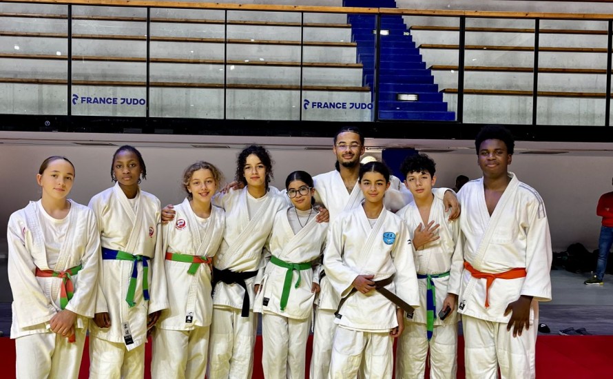 STAGE IDF MINIMES